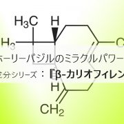ホーリーバジルの含有成分であるβ-カリオフィレン